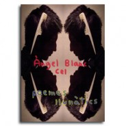 Poemes Llunàtics • Àngel Blanc Cel