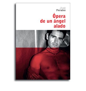 Opera de un Angel Alado portada novela tematica gay