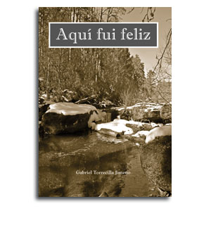 Aqui fui feliz portada novela