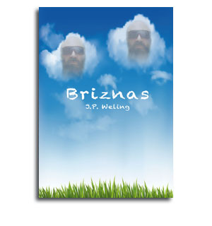 Portada novela Briznas