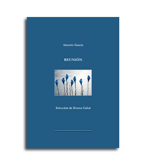 Portada del libro de poemas Reunion