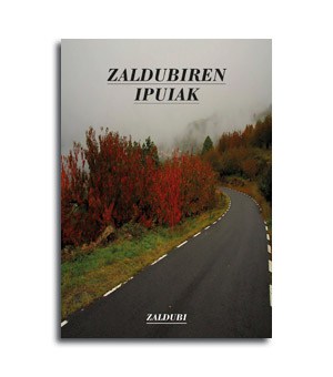 Libro Zaldubiren Ipuiak