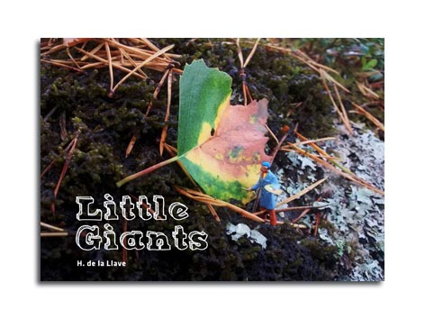 cover of little giants